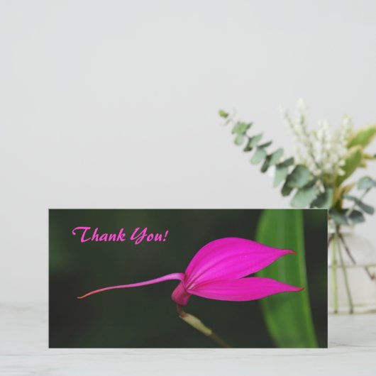 Dank u fotokaart bedankkaart (Staand voorkant)