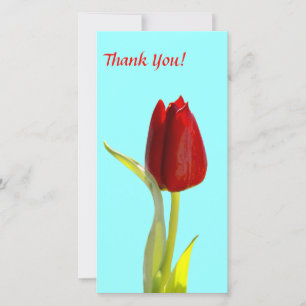 Dank u fotokaart bedankkaart