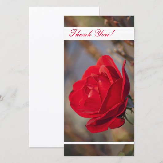 Dank u fotokaart bedankkaart (Voorkant / Achterkant)