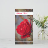 Dank u fotokaart bedankkaart (Staand voorkant)