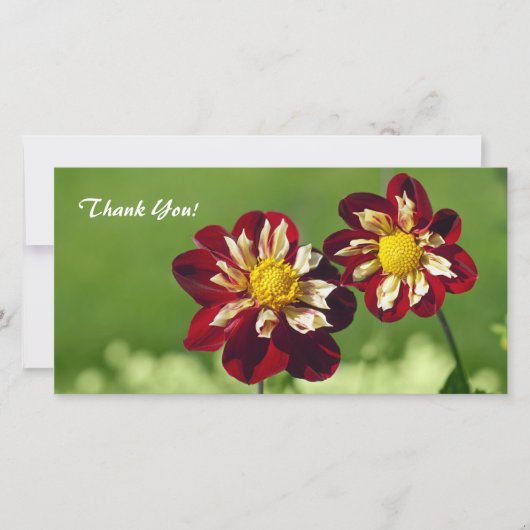 Dank u fotokaart bedankkaart (Voorkant)