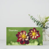 Dank u fotokaart bedankkaart (Staand voorkant)