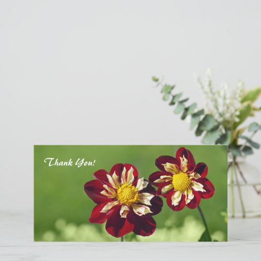 Dank u fotokaart bedankkaart (Staand voorkant)