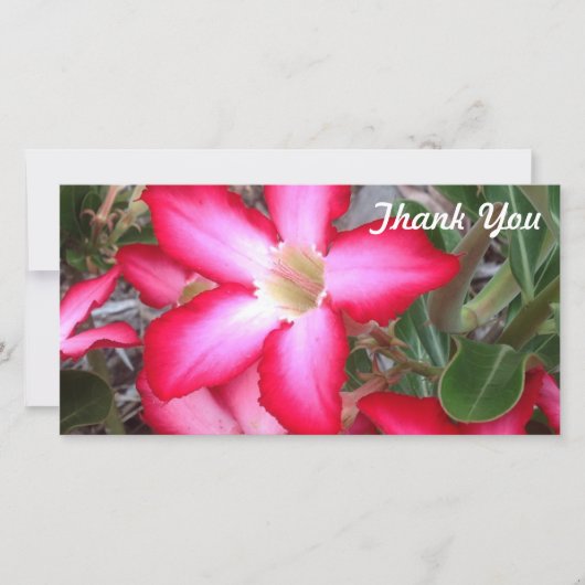 Dank u fotokaart - Desert Roos Bedankkaart (Voorkant)