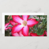 Dank u fotokaart - Desert Roos Bedankkaart (Voorkant / Achterkant)