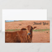 Dank u fotokaart - Rundvee Bedankkaart (Voorkant / Achterkant)