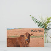 Dank u fotokaart - Rundvee Bedankkaart (Staand voorkant)