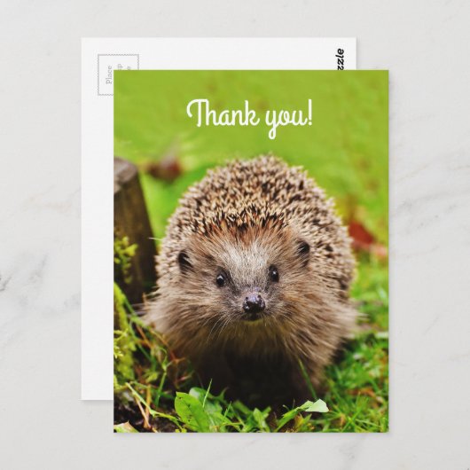 "Dank u! Gepersonaliseerd, Weinig Egel Briefkaart (Voorkant / Achterkant)