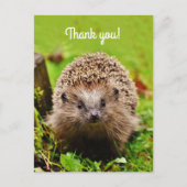 "Dank u! Gepersonaliseerd, Weinig Egel Briefkaart (Voorkant)