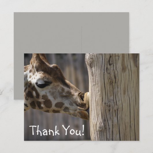 Dank u Giraffe Kisses Briefkaart (Voorkant / Achterkant)