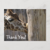 Dank u Giraffe Kisses Briefkaart (Voorkant)