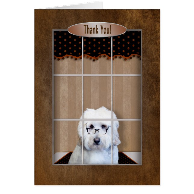 Dank u - Golden Doodle - Venster (Voorkant)