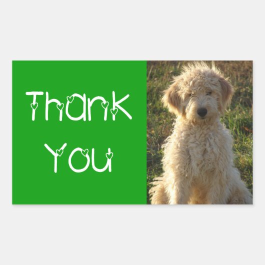 Dank u Goldendoodle Puppy Dog Sticker / Label (Voorkant)