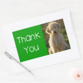 Dank u Goldendoodle Puppy Dog Sticker / Label (Envelop)