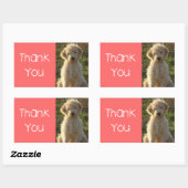 Dank u Goldendoodle Puppy Dog Sticker / Label (Vel)