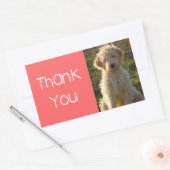 Dank u Goldendoodle Puppy Dog Sticker / Label (Envelop)