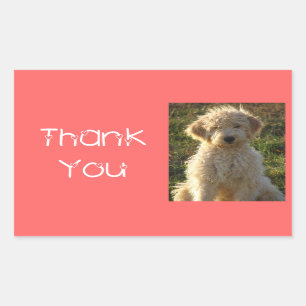 Dank u Goldendoodle Puppy Dog Sticker / Label