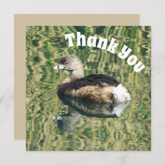 Dank u Grebe en de Waardering van de Foto van de B (Voorkant / Achterkant)