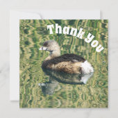 Dank u Grebe en de Waardering van de Foto van de B (Voorkant)