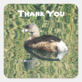 Dank u Grebe Foto met reflectie appreciatie Vierkante Sticker