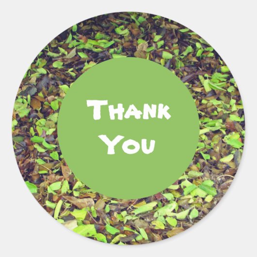 Dank u Green Brown Leaves Ronde Sticker (Voorkant)