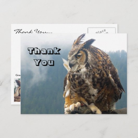 Dank u grote gehoornde uil Briefkaart (Voorkant / Achterkant)