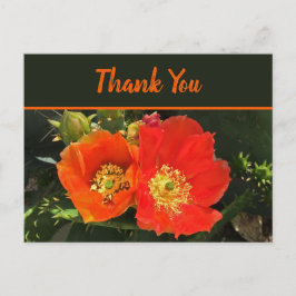 Dank U Helder Woestijnbloesem Foto Cactus Bloem Briefkaart