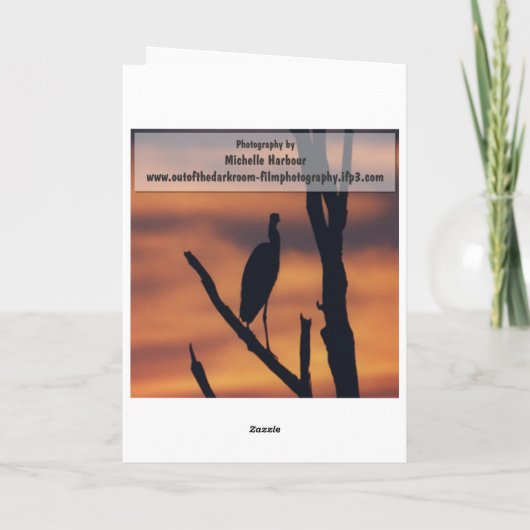 Dank u - het Wenskaart van Gerber Daisy Bedankkaart (Achterkant)