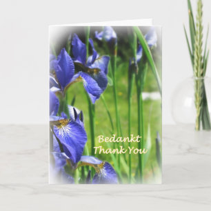 Dank u in het Nederlands en het Engels Bedankkaart