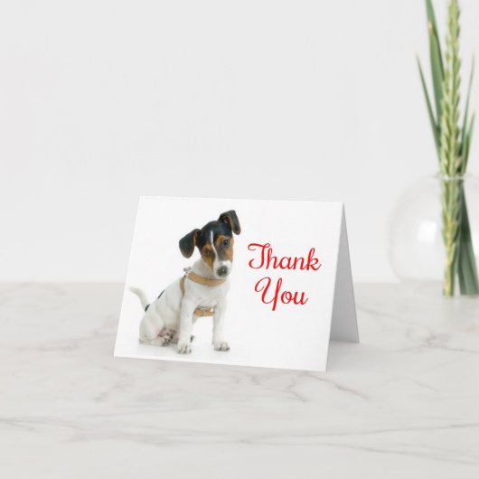 Dank u Jack Russell Terrier Puppy Dog Note Kaart (Voorkant)