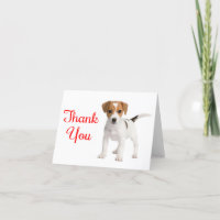 Dank u Jack Russell Terrier Puppy Dog Note Kaart