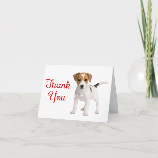 Dank u Jack Russell Terrier Puppy Dog Note Kaart (Voorkant)