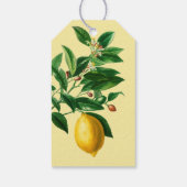Dank u "Je bent de Zest" Waardering Lemon Cadeaulabel (Achterkant)
