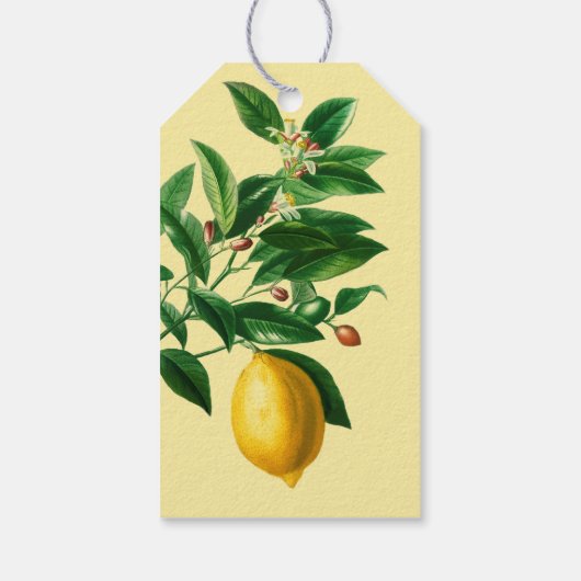 Dank u "Je bent de Zest" Waardering Lemon Cadeaulabel (Achterkant)