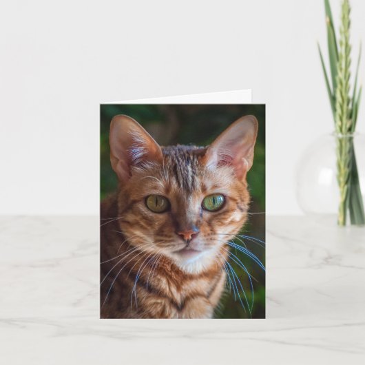 Dank u kaarden bedankkaart (Voorkant)