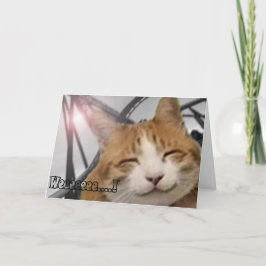 Dank u kaarden - Gelukkige Kat Bedankkaart