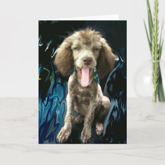 DANK U KAARDEN, GRAPPIG BEDANKKAART (Voorkant)