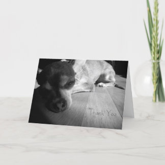 Dank u Kaart Chihuahua