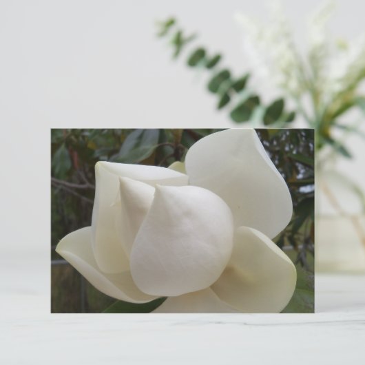 Dank u kaart met witte Magnolia Bloem (Staand voorkant)