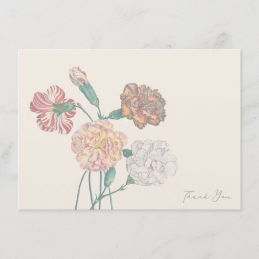 Dank u kaart opmerking tan beige anjer bloem (Voorkant)
