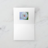  "DANK U" KAART/WITTE HIBISCUS BEDANKKAART (Binnen)