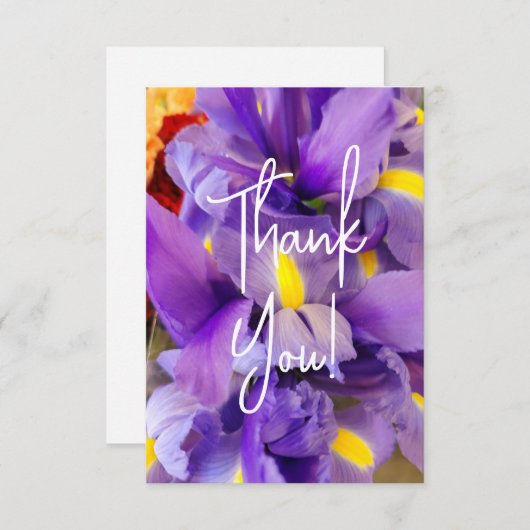 Dank u kaarten Paarse tulpenbloemen (Voorkant / Achterkant)