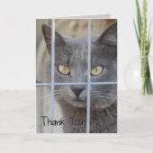 Dank u! Kat Bedankkaart (Voorkant)