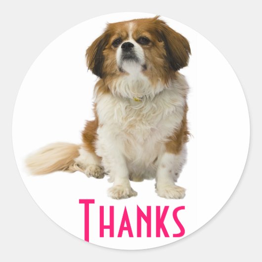 Dank u King Charles Spaniel Puppy Sticker (Voorkant)
