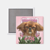 Dank u - Koning Charles Cavalier - Ruby Magneet (Voorkant / Achterkant)