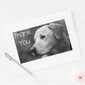 Dank u Labrador Retriever Puppy Dog Sticker (Envelop)