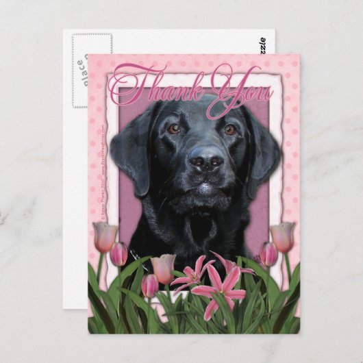 Dank u - Labrador - Zwart - Gauge Briefkaart (Voorkant / Achterkant)