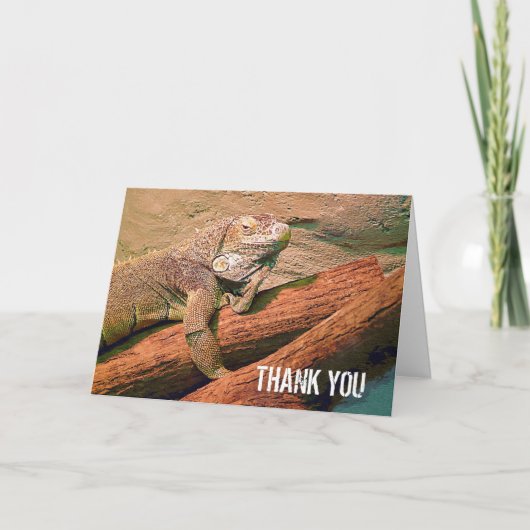 Dank u - Luie Hagedis Bedankkaart (Voorkant)