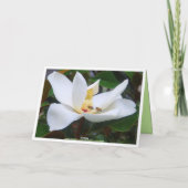 Dank u Magnolia en Honingbijen Kaart (Achterkant)