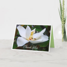 Dank u Magnolia en Honingbijen Kaart